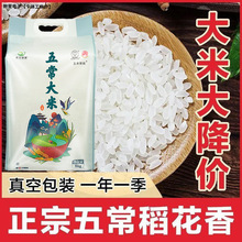 ����20���b���峣������0�L�������l����һ�����l�Y���b����