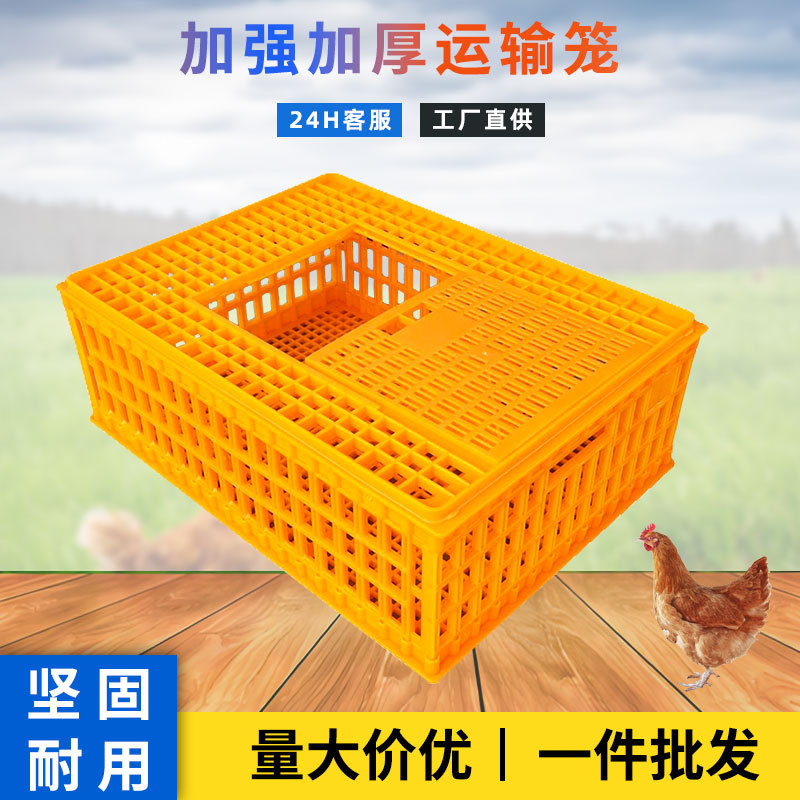 工厂塑料鸡笼 家禽运输笼 方形塑胶周转箱 鸽子鸭鹅加厚运输鸡笼