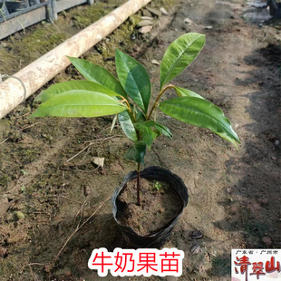 ţ�̹���Խ��ţ�̹�ͥԺ���Ե��Թ��������O���Ϸ��������󃞻�
