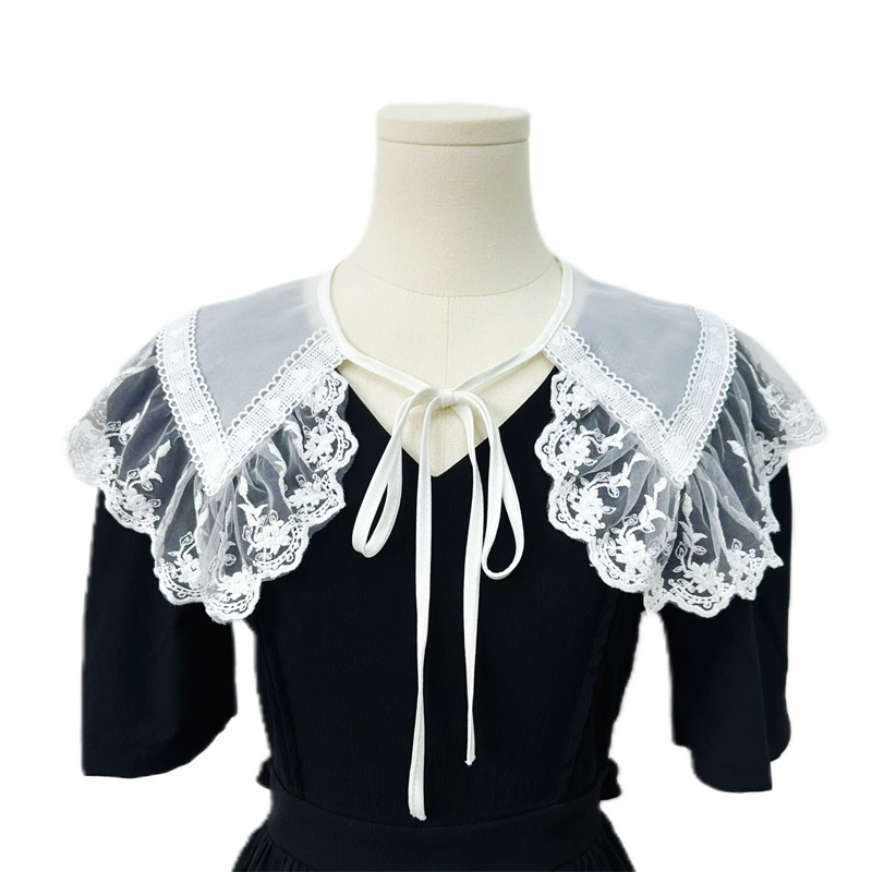 Cute universal false collar, Amazon, with embroidery