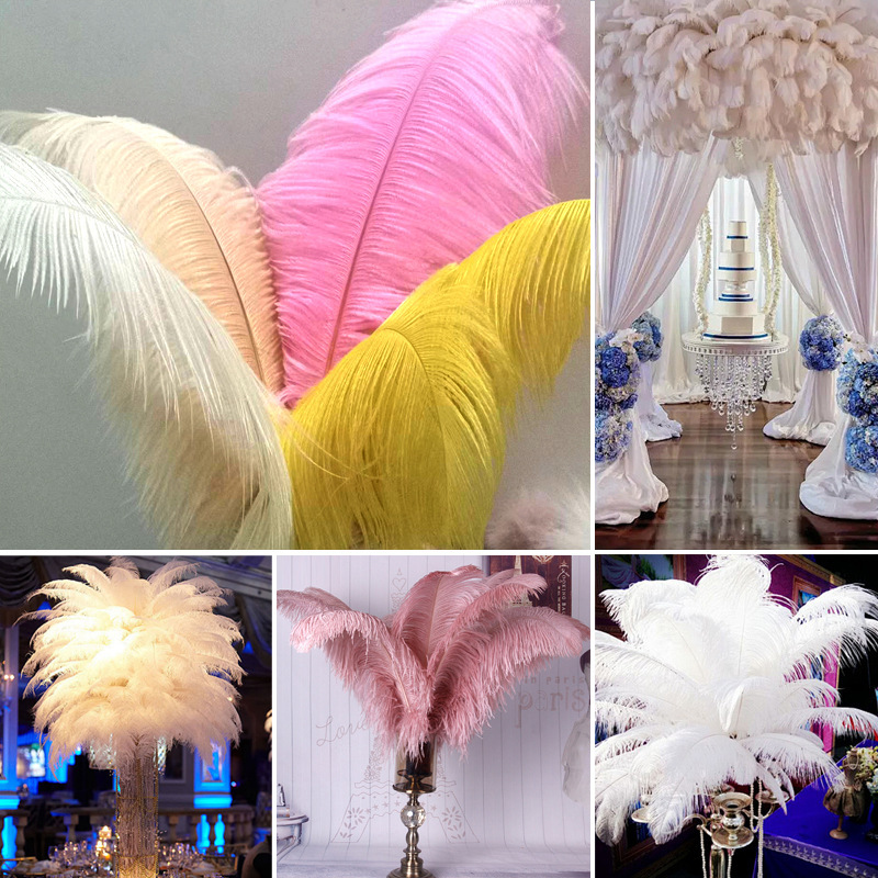 Factory Direct Sales 15-80cm White Ostrich Feather Decorative Feather Jewelry Wedding Ornaments DIY Crafts down Jacket Factory Direct Sales 15-80cm White Ostrich Feather Decorative Feather Jewelry Wedding Ornaments DIY Crafts down Jacket