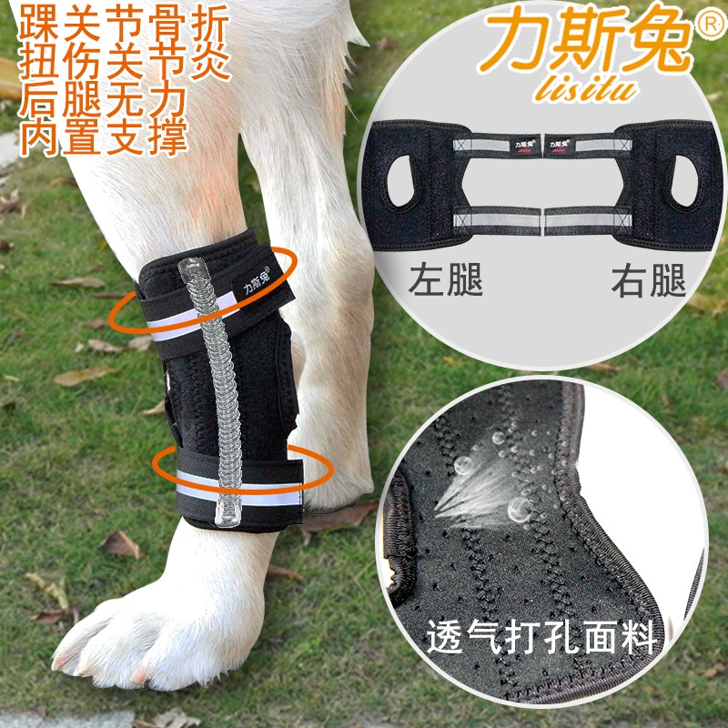 Шина для фиксации переломов собак Защитный чехол для лодыжки собаки Кронштейн для слабой ноги Хок Вспомогательный пояс короткий