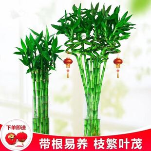�����D�\��ˮ�฻�F��ֲ���_�\��ˮ�B�͏d������������ؔ�҃Ȱ��]