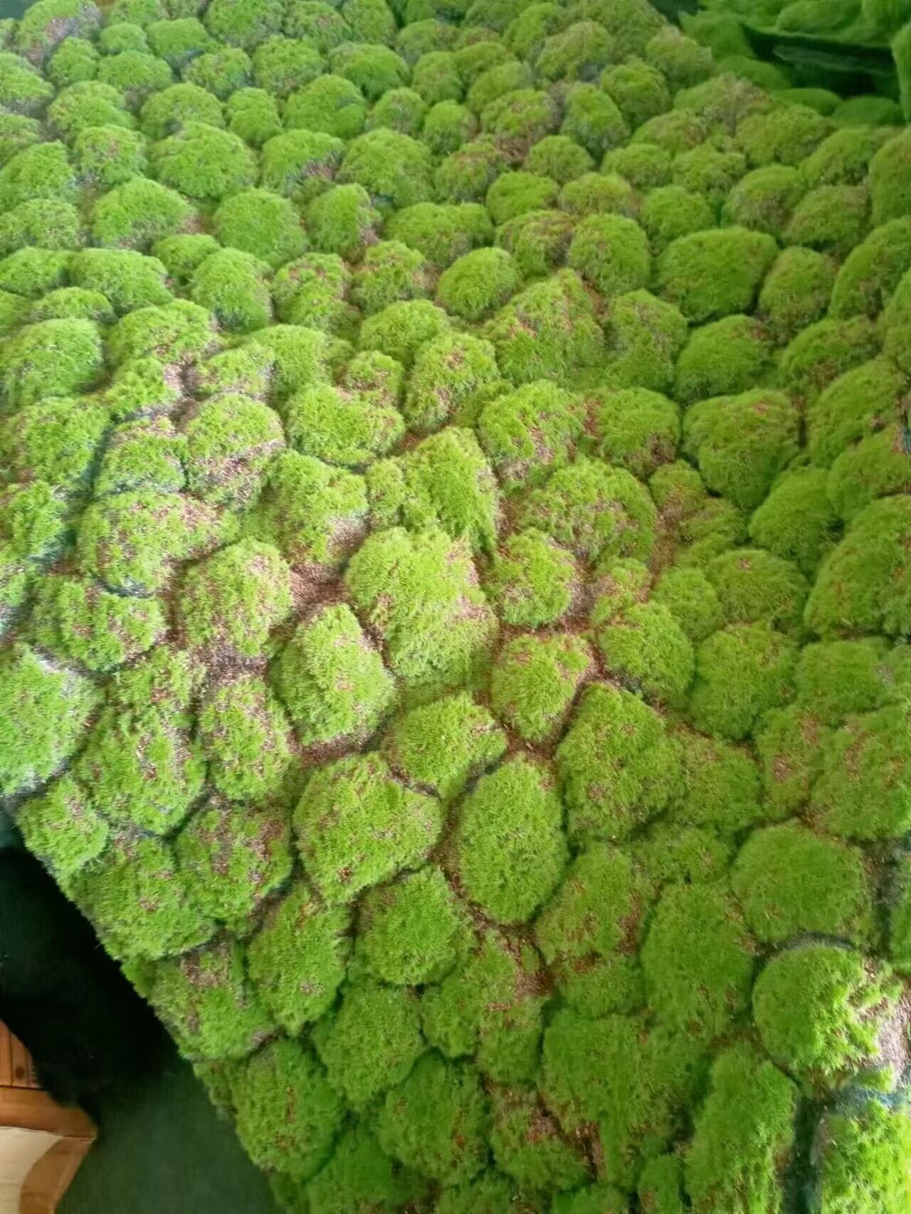 QQ图片20240123113509