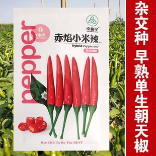 �ļ�С�׽��N��С�����N���糯�����������߲��ݽ������������ѷN