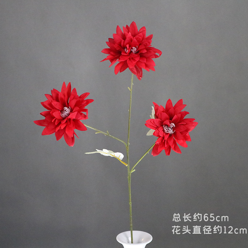 붉은 달리아의 가지