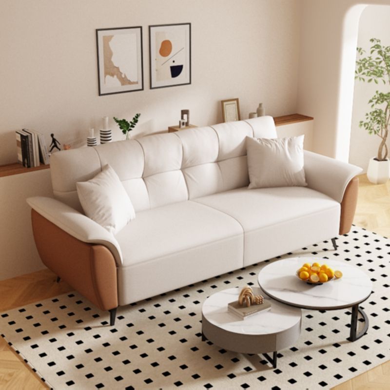 Cat Scratch Cloth Sofa Bed Multifunctional Dual-Purpose Modern Simple Living Room Apartment Small Apartment Single and Double Foldable Sofa