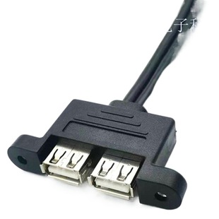 9pinUSB контактный двойной USB двойной женский кабель для передачи данных USB-кабель с ушами может быть фиксированным шасси перегородка кабель