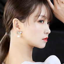 �¿����������h������� ��ؐ�����Y���� �p�ݚ��|���Ŷ��