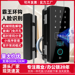 3D face office glass door fingerprint combination lock shop push-pull sliding door without opening overlord hook without floor insertion
