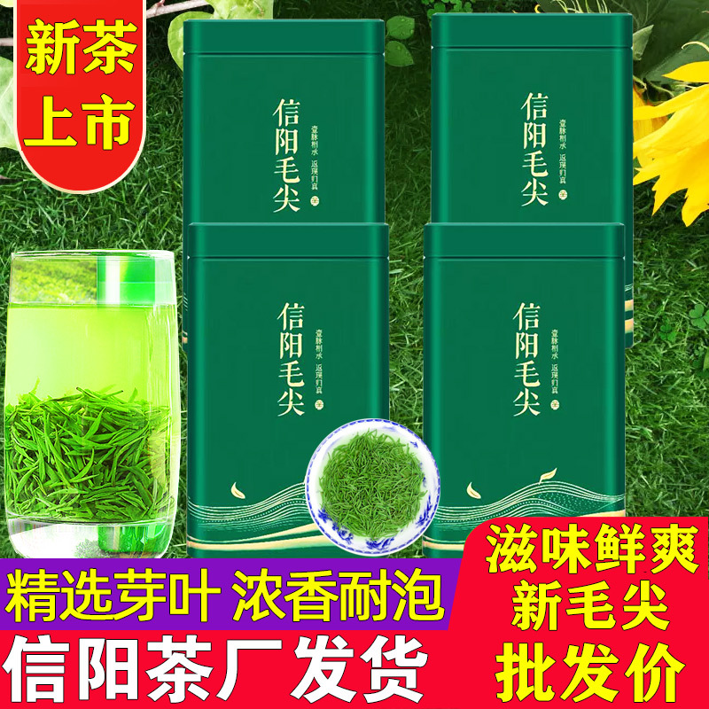 신양모첨 중국 녹차 우전 잎차 가정용 선물용 250g 500g