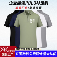 ��z����polo���������ļ�����̽�T����I���F�w���Ļ��V����