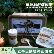 端午纸浆盒收纳纸浆盒礼盒包装盒可降解材质黄浆保护内托防潮工厂