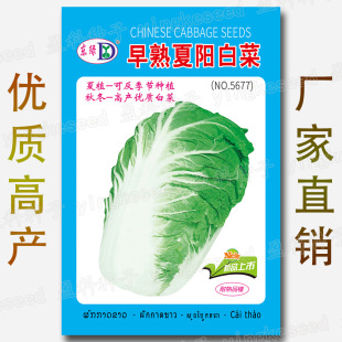 ���Ĵ�ײ˷N�� �r��ˈ@�Nֲ��о�׷Nֲ��Ӳ��ﶬ��ó԰ײ���