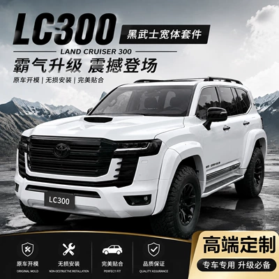 modified with Black Diamond wide-body: Zhongwang