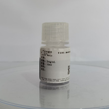 单层氮化硼薄膜（HBN）铜基