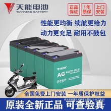 天能电池两三轮车电瓶60v20ah全新原装台铃雅迪小刀车铅酸蓄电池