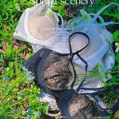 6913フランスのまつげレースの美胸は下着のセットの薄い通気性の記憶のチタンの鉄の輪の上でサイドを支えてブラジャーを収めます。