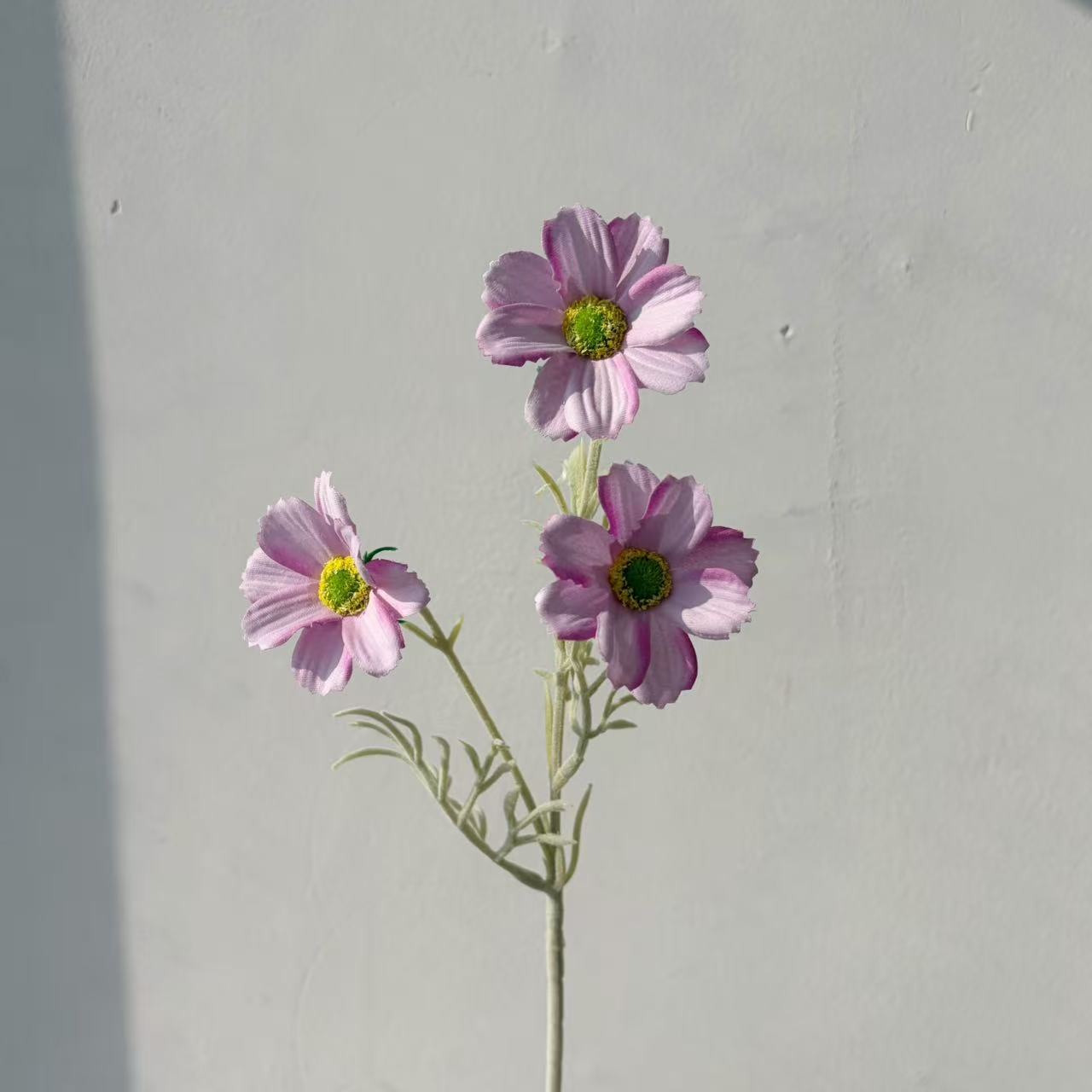 분홍색