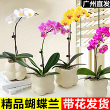 mԻ玧҃rGֲļ_͏dFl