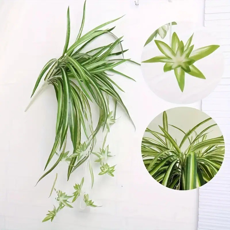 仿真5叉金边布吊兰植物墙配材绿植仿真假花装饰摆件仿真花|undefined