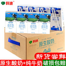 科迪益生菌發酵菌原生酸奶純牛奶12盒裝學生純奶酸牛奶整箱批發