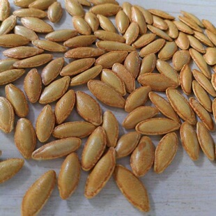 �L�����˼׽��}��ָ���Ϲ�������M���e��ʳ�҃r�羳���