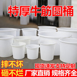 加厚塑料牛筋圆桶储水桶大号酱菜桶酿酒鱼苗孵化桶腌制发酵食品桶