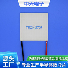 TEC1-12707-40-40 ����Ƭ ���������Ƭ ���ȱ�����Ƭ