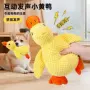 解压发声可爱卡通猫咪