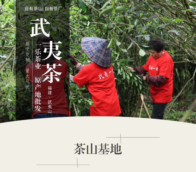 副本_副本_浓香正山小种__2022-10-31+16_20