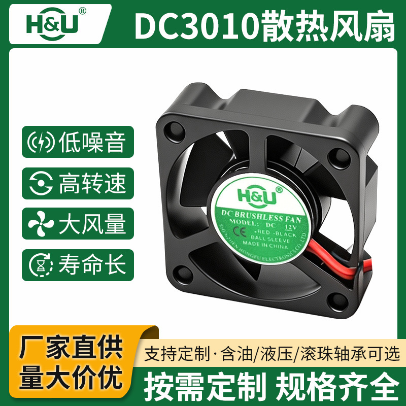 DC3010 DC cooling fan, 12V, with oil-lubricated ball bearings, low-noise, suitable for heaters, car LED lights, and miniature fans DC3010 DC cooling fan, 12V, with oil-lubricated ball bearings, low-noise, suitable for heaters, car LED lights, and miniature fans