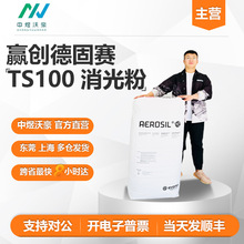 赢创德固赛二氧化硅消光粉TS100 水性气相法哑光剂 发顺丰 开票