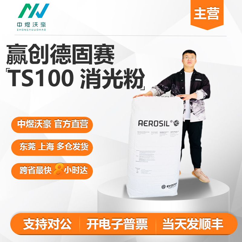 赢创德固赛二氧化硅消光粉TS100 水性气相法哑光剂 发顺丰 开票