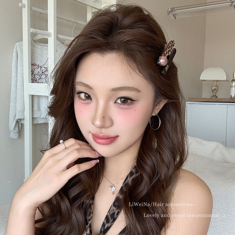 豹纹一字发夹女高级感侧边夹碎发刘海夹2025新款前额发卡气质头饰|undefined