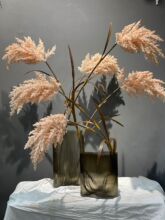 �����JȔ��β�Ͳݷ¸ɻ�ɭϵ��c�W�t�b羳�aƷ�S��ֱ���F؛