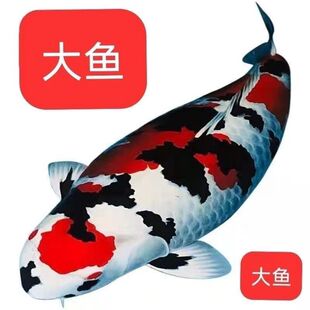 ��ϵѪ�y�t���Ѻ���ɫ���B��ȸ���NͥԺ�\���^�p�~�\���~���u�\��