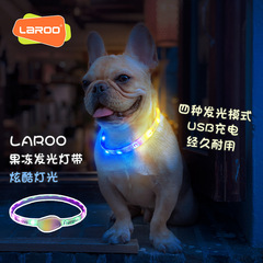 LaRoo Puppy Aurora Light Collar with USB Charging Night Light for Dogs