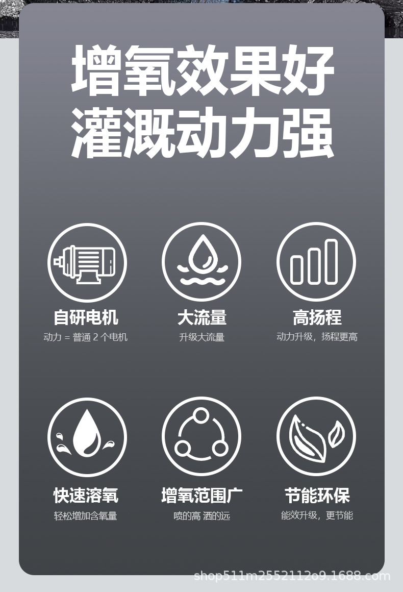 详情页_02.jpg