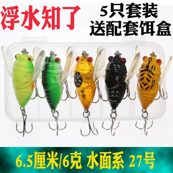 Cicada No. 27 (5 with boxes)
