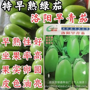 �������ﶬ���߲˷N�ӾG���ӾG�A����ԭ�b�߲˷N�Ӵ�ȫ�˷N�����l