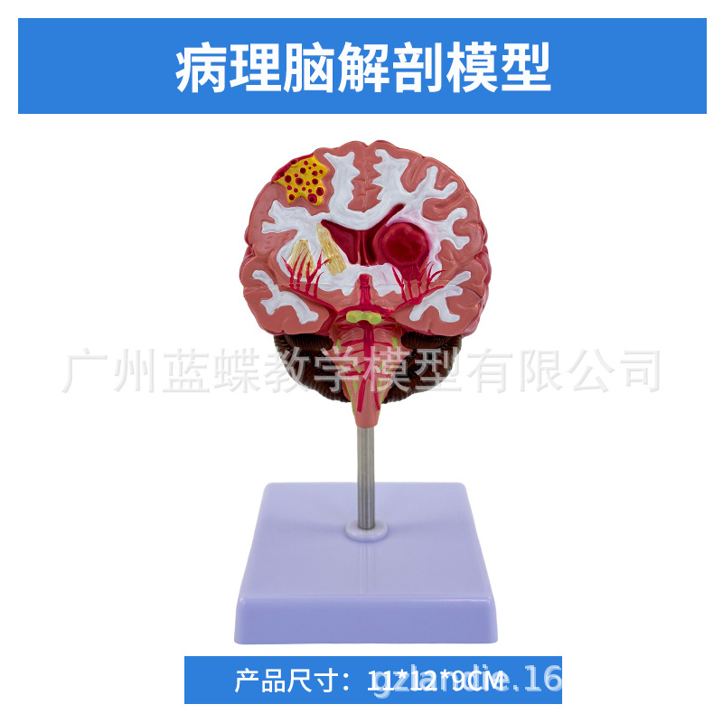 ��ģ���Թ�������ɫ��ģ�� ������Խ���ģ�� ���Զ�����������