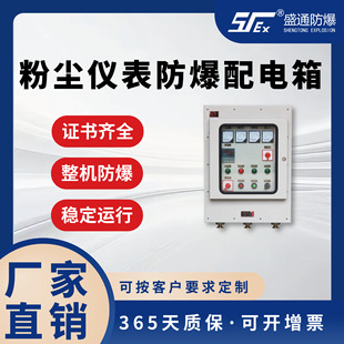 Dust Instrument Explosion-Proof Distribution Box Bxk Chemical Power Special Distribution Infusion Equipment Instrument Explosion-Proof Distribution Box