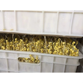 金属成型设备;木工机械;路面机械