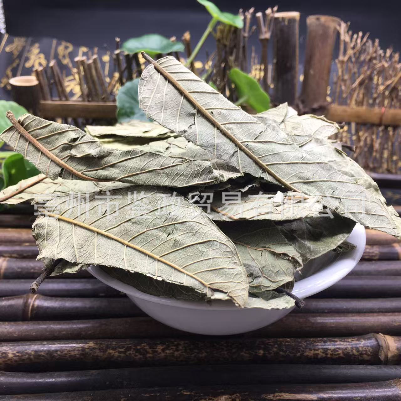 Guava Leaf Tea Folium Psidii Guajavae Fan Shi Liu Ye Dried Loose Leaves Bulk 500g key features