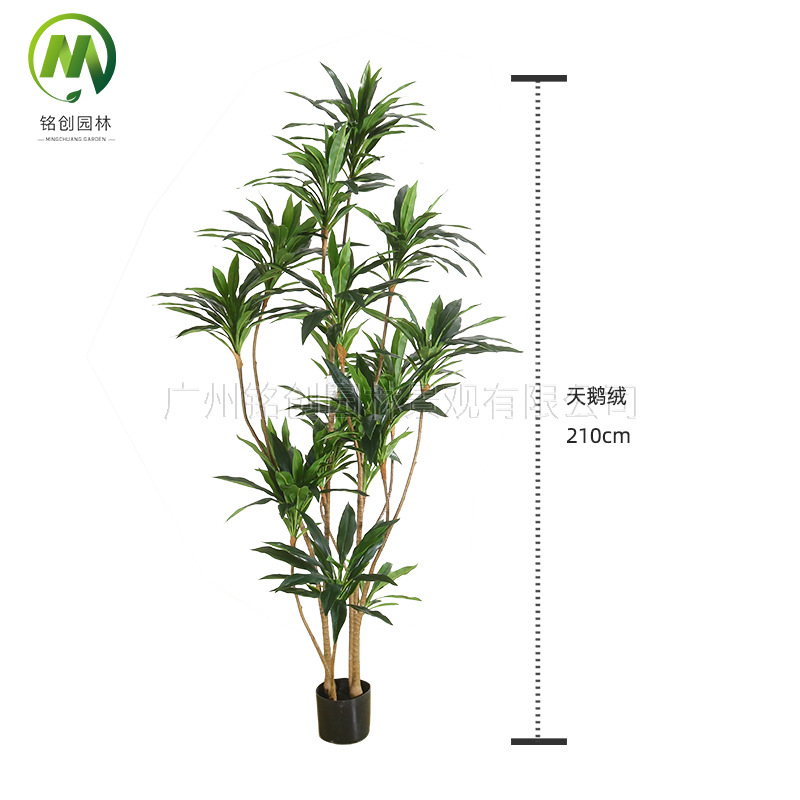 Simulación de paisaje de plantas verdes Terciopelo Planta falsa de hierro brasileño de alta gama Planta en maceta Simulación de suelo interior Planta verde con maceta