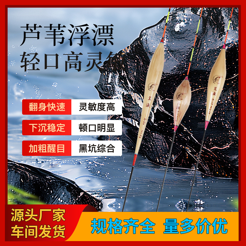 玺渔芦苇浮漂鲫鲤青草鱼高灵敏大浮力鱼漂黑坑枣核顿口垂钓批发