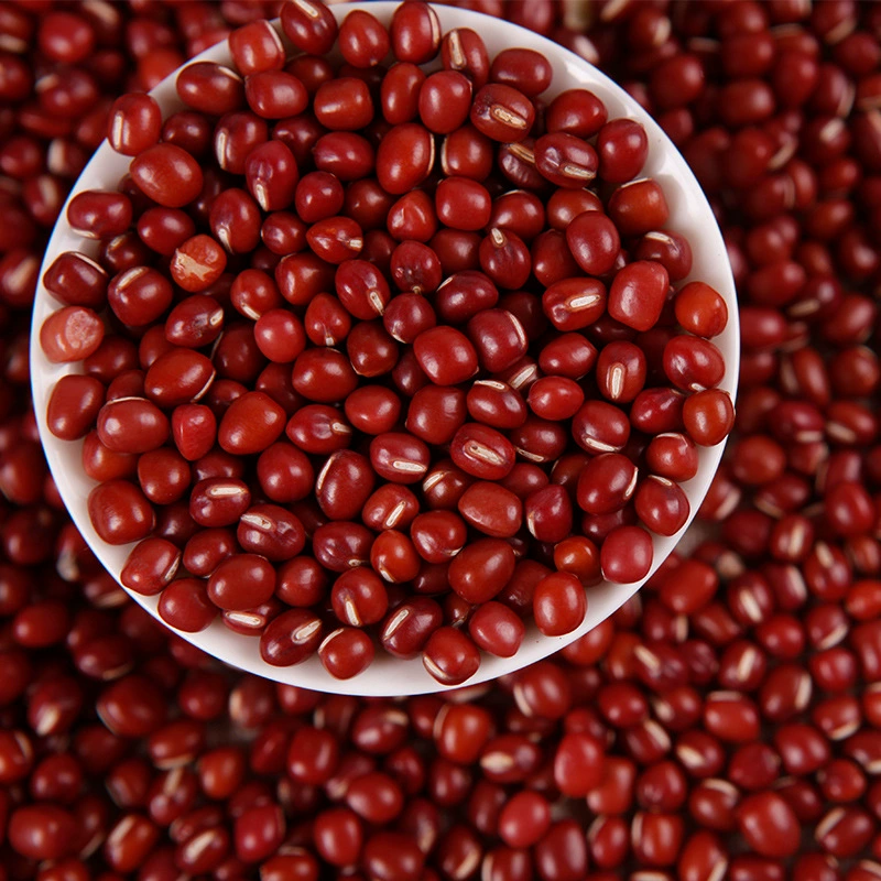 Массовая красная фасоль оптом зерновые бобы красная фасоль