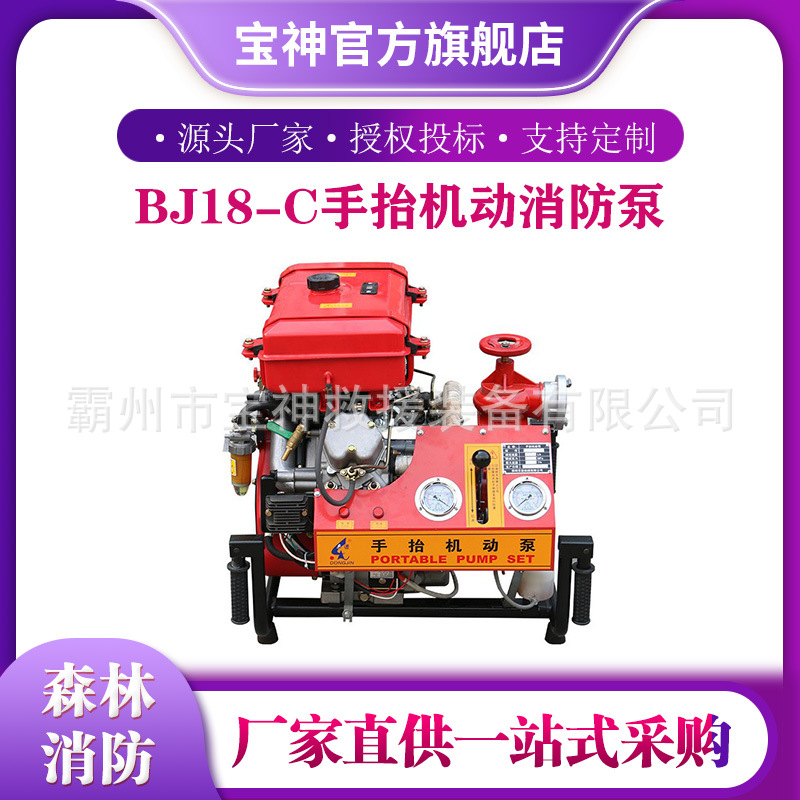 电启动双缸救援泵BJ18-C手抬机动消防泵移动式森林灭火泵