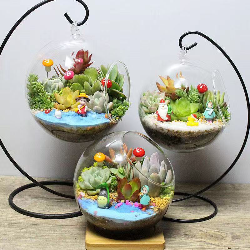 micro landscape diy material succulent moss ecological glass bottle potted plant green plant micro landscape landscaping gift set micro landscape diy material succulent moss ecological glass bottle potted plant green plant micro landscape landscaping gift set